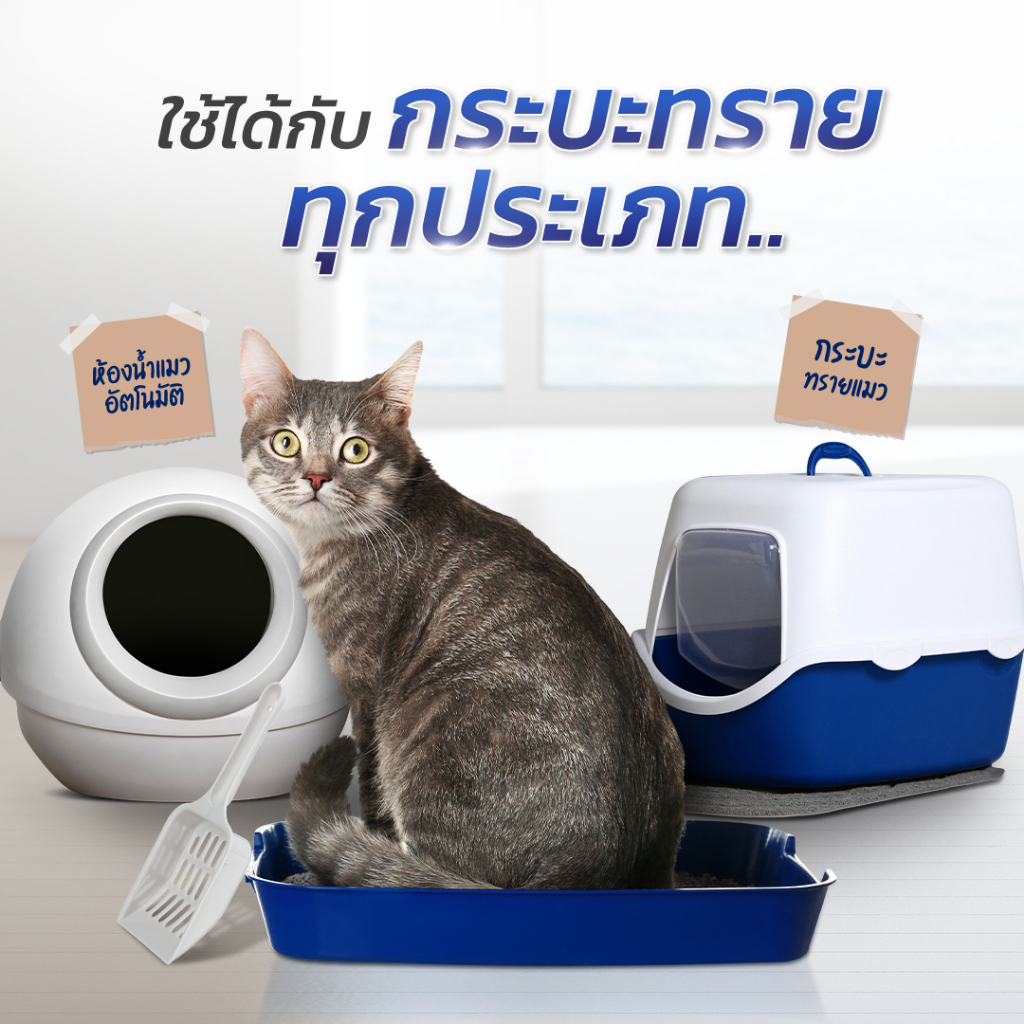 รูปภาพ 5