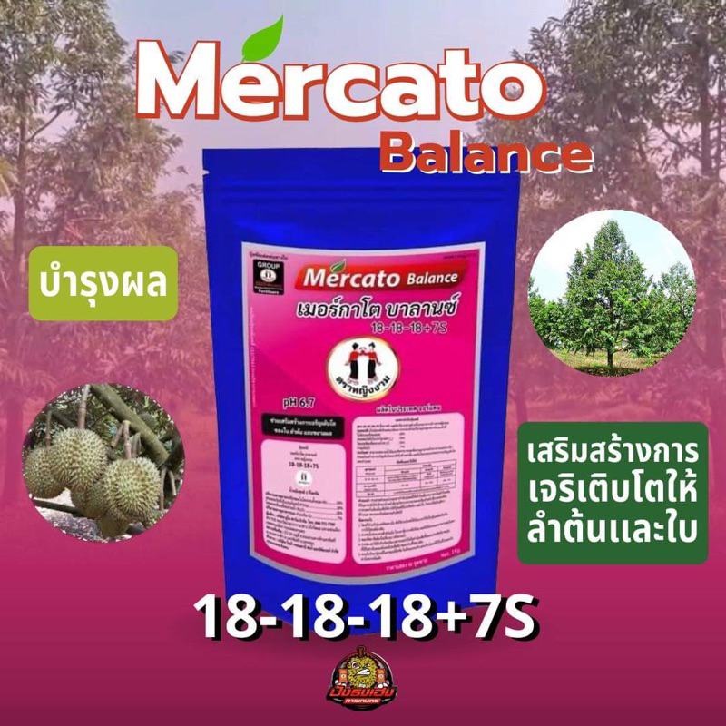 เมอร์กาโต บาลานซ์ 18-18-18+7S แตกใบอ่อนสม่ำเสมอ ขยายใบ บำรุงดอก ขยายผลใบเขียวเข้มดำตันจาก(S)ซัลเฟอร์สูง