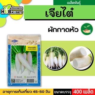 เจียไต๋ 🇹🇭 ผักกาดหัว ขนาดบรรจุประมาณ 400 เมล็ด อายุเก็บเกี่ยว 45-50 วัน