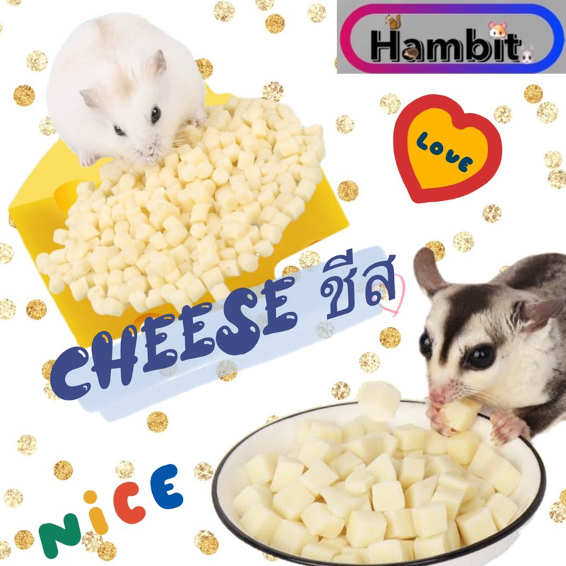 Hambit. ขนมชีส แฮมเตอร์ แคลเซียม ขนมสุขภาพดี แฮมเตอร์ เม่น ชินชิลล่า ชูการ์ไรเดอร์ กระรอก กระต่าย ดอร์เมาส์ ไจแอ้นท์