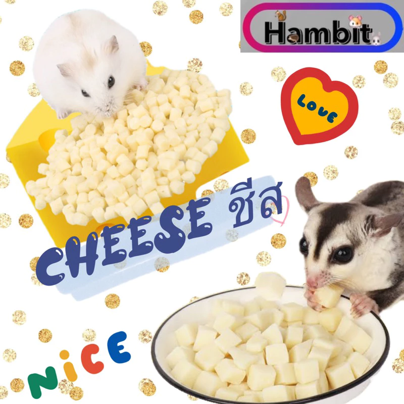 Hambit. ขนมชีส แฮมเตอร์ แคลเซียม ขนมสุขภาพดี แฮมเตอร์ เม่น ชินชิลล่า ชูการ์ไรเดอร์ กระรอก กระต่าย ดอร์เมาส์ ไจแอ้นท์