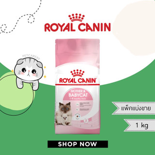 ROYAL CANIN สูตร mother&amp;babycat ยกกระสอบ 10 กก.