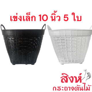 เข่งพลาสติกเล็ก 10 นิ้ว 5 ใบ