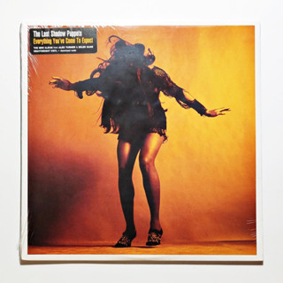 แผ่นเสียง The Last Shadow Puppets - Everything Youve Come To Expect  (LP, Album)