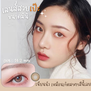 ✨ Brown ขนาดมินิ mini คอนแทคเลนส์น้ำตาล ☀️กรองแสง uv เลนส์แท้จดทะเบียนถูกต้อง ผ่านอย.ไทย ✔️