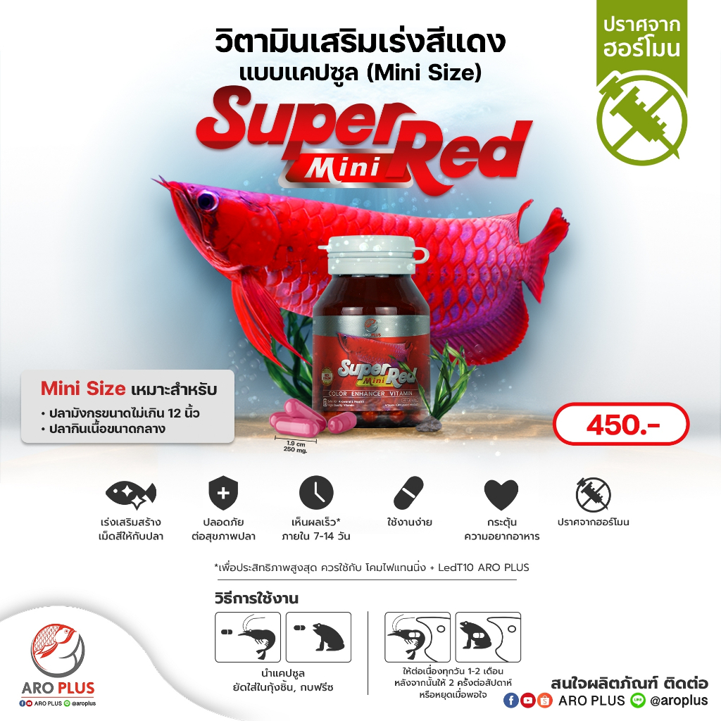 Super Red Mini วิตามินเสริมเร่งสีแดง แบบแคปซูลมินิ