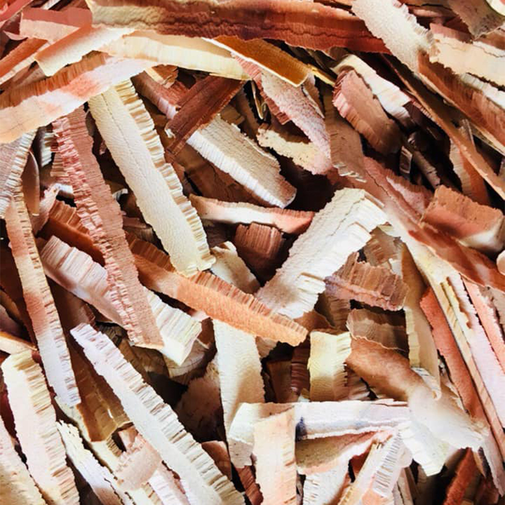 แก่นคูณ กินกับหมาก แก่นคูน เคี้ยวหมาก