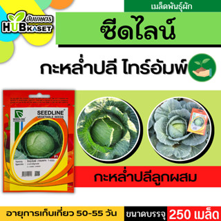 ซีดไลน์ 🇹🇭 กะหล่ำปลีลูกผสม ไทร์อัมพ์ ขนาดบรรจุประมาณ 250 เมล็ด อายุเก็บเกี่ยว 50-55 วัน