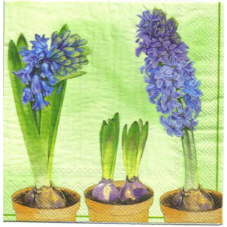 Pladao Napkin ภาพดอกไม้ หัวไฮยาซิน สีฟ้า ในกระถาง Hyacinth กระดาษ แนพกิ้น สำหรับงานศิลปะ เดคูพาจ decoupage ขนาด L 33x33