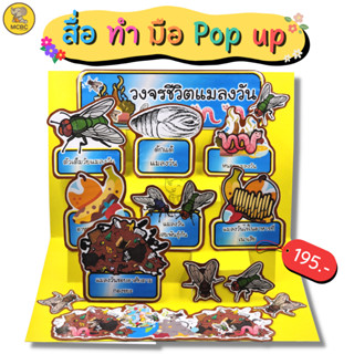 สื่อทำมือ POP-UP วงจรชีวิตแมลงวัน สื่อการสอน สื่ออนุบาล สื่อนวัตกรรม สื่อปฐมวัย สื่อการเรียน ตามหน่วย