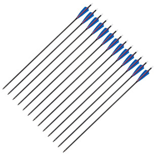 Pure Carbon Arrows 32" - Spine 350 - 385gn - 12pc