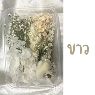 ดอกไม้แห้งจัดเซ็ตไม่ระบุชนิดสำหรับงานประดิษฐ์ พร้อมส่ง