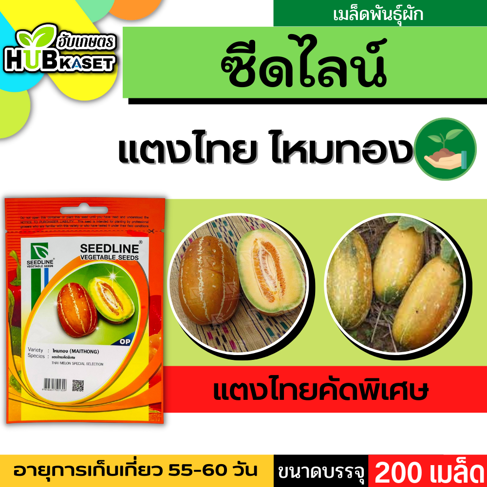 ซีดไลน์ แตงไทยคัดพิเศษ ไหมทอง ขนาดบรรจุประมาณ 200 เมล็ด อายุเก็บเกี่ยว 55-60 วัน