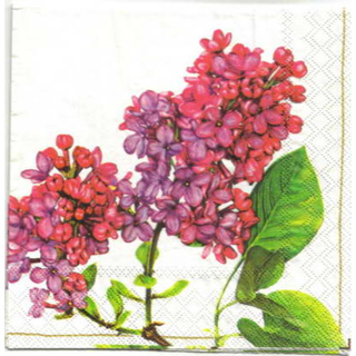 Pladao Napkin ภาพดอกไม้ ช่อดอก ไลแลต สีม่วง Lilac กระดาษ แนพกิ้น สำหรับงานศิลปะ เดคูพาจ decoupage ขนาด L 33x33