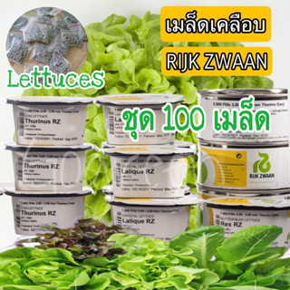 เมล็ดพันธุ์ผักสลัด นำเข้า [RIJK ZWAAN] แบบแบ่งขาย 100 เมล็ด