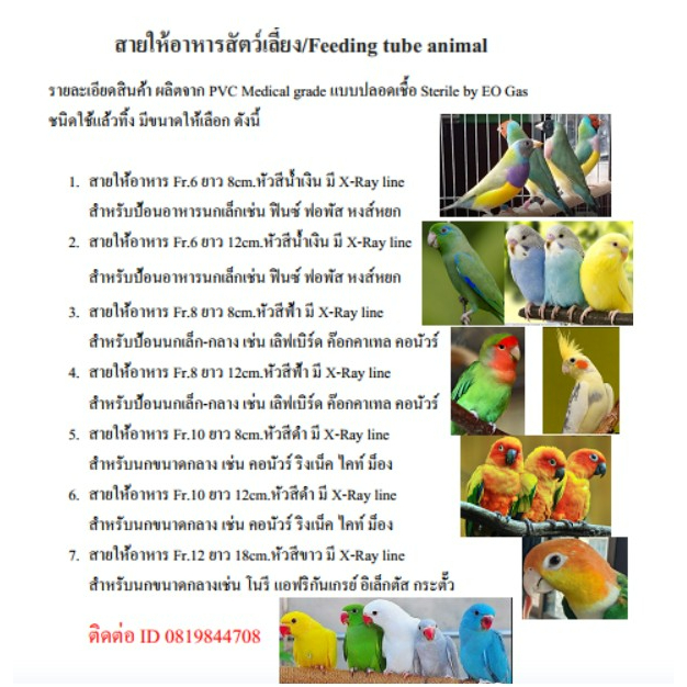 สายป้อนอาหารนก 5-10 ชิ้น ฟีด ให้อาหารลูกนก สายป้อนลูกนก Feeding Tube มีหลายขนาดสำหรับสัตว์เลี้ยง - รูปที่ 3
