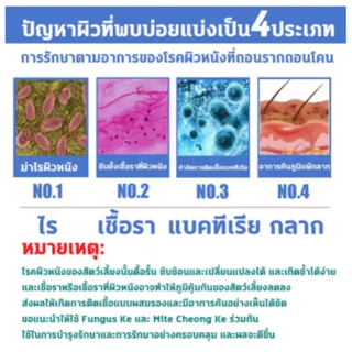 สเปรย์รักษาโรคเรื้อน รักษาโรคผิวหนังสัตว์เลี้ยง ยารักษาเชื้อราสุนัขและแมว สเปรย์รักษาเชื้อราแมว น้ำยารักษาเชื้อราแมว