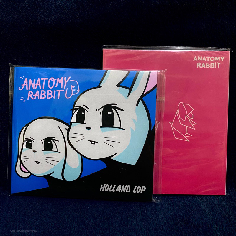 Anatomy Rabbit - CD (ซีดี) Holland Lop / EP.Album “HooTok”