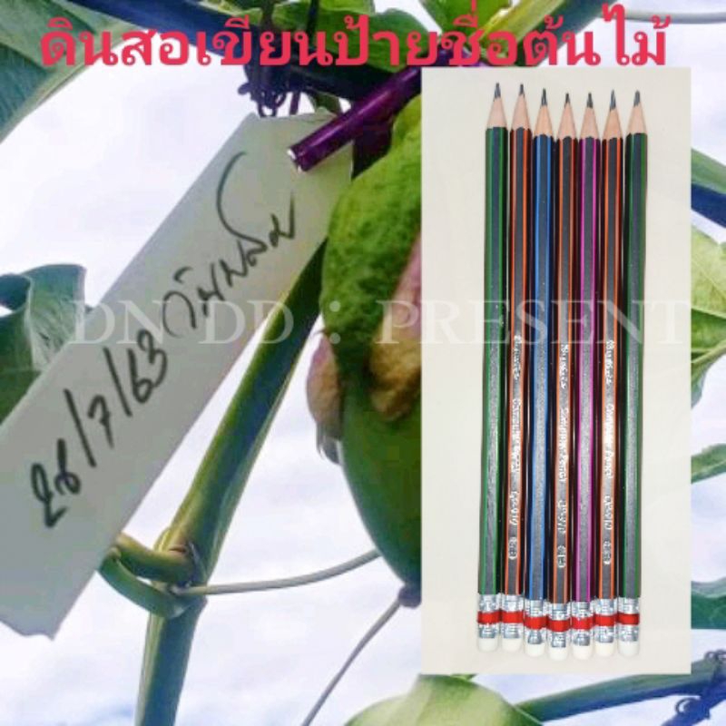 ดินสอเขียนป้ายชื่อต้นไม้1แท่ง(ดินสอสีเข้ม)📌ดินสอเขียนติดป้ายหรือไม่ขึ้นอยู่กัยวุสดุที่ใช้ผลิตป้ายไม่ได้ขึ้นกับตัวดินสอ