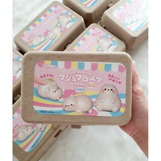 สกุชชี่ Ibloom Bear Egg แบบครบเซ็ท 6 ชิ้น