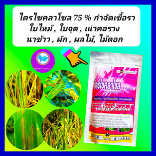 ไตรไซคลาโซล 100 กรัม ยาเชื้อรา โรคใบไหม้ โรคใบจุด สารป้องกันกำจัดโรคพืช เชื้อรา ใบไหม้ ใบจุด กำจัดโรคเน่า โคนเน่า บีม