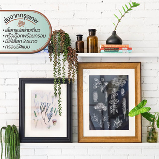 Decor Picture &amp; Frames-Botanical โปสเตอร์และกรอบ เซ็ทพืชพรรณ | โปสเตอร์ รูปภาพ โฟโต้ ภาพ กรอบ กรอบรูป ติด ผนัง กำแพง บ้า