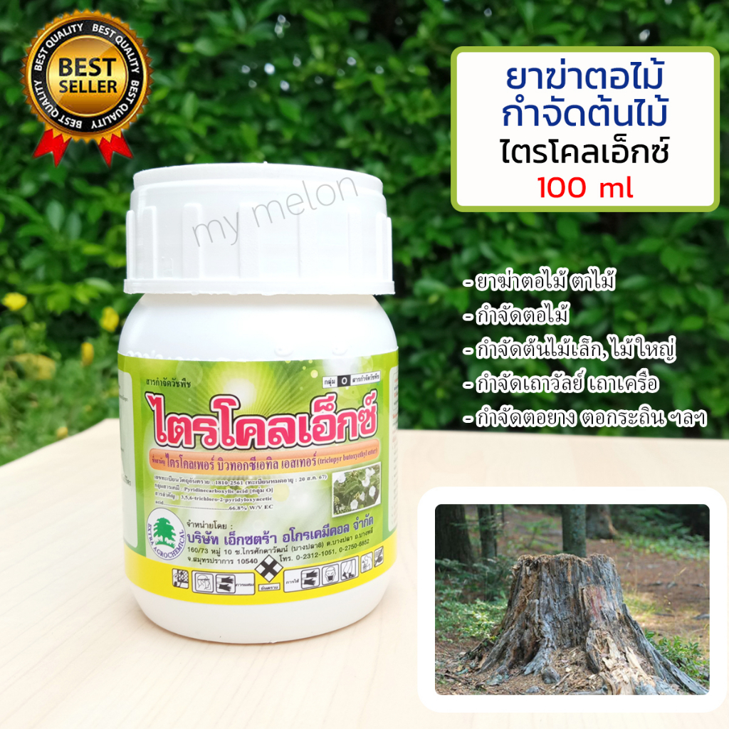 ยาฆ่าตอไม้ กำจัดตอไม้-ต้นไม้ ไตรโคลเพอร์ ยาทำลายต้นไม้