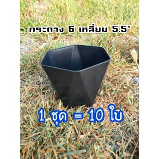 [10ใบ] กระถาง 6 เหลี่ยม ขนาด 5.5 นิ้ว สีขาว-สีดำ