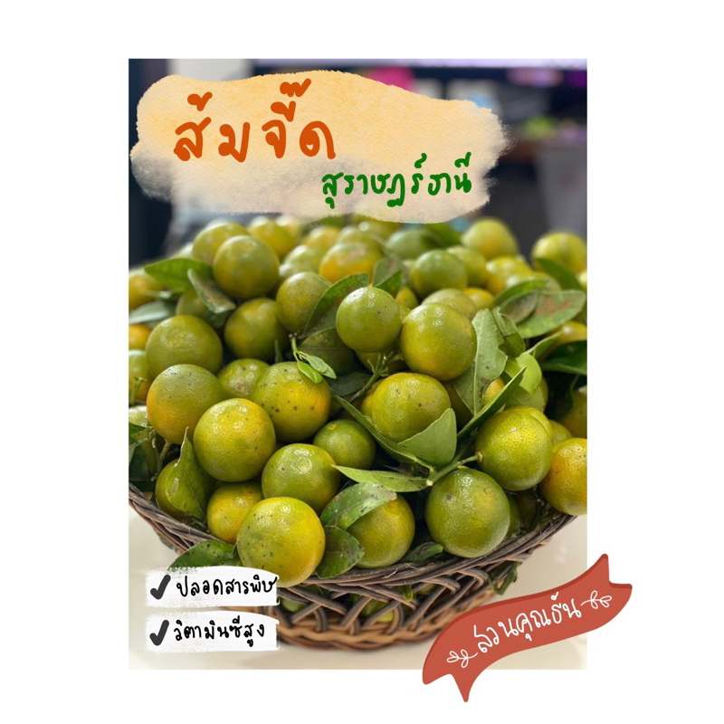 ส้มจี๊ด ส้มมะปี๊ด จากสวน (Organic) ส่งตรงจากสวนคุณธัน (สุราษฎร์ธานี)
