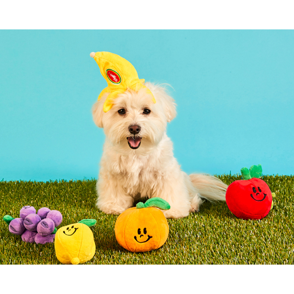 Wiggle Wiggle Nosework Toy ของเล่นสำหรับสัตว์เลี้ยง นำเข้าจากเกาหลี 🇰🇷