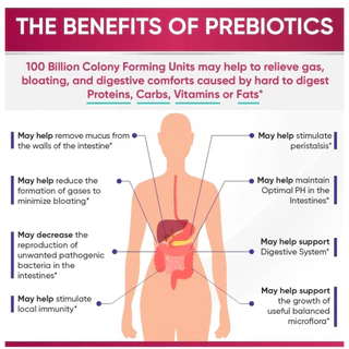 Wholesome Wellness Women’s Raw Probiotic 100 Billion CFU โพรไบโอติก สูตรสำหรับผู้หญิง probiotics