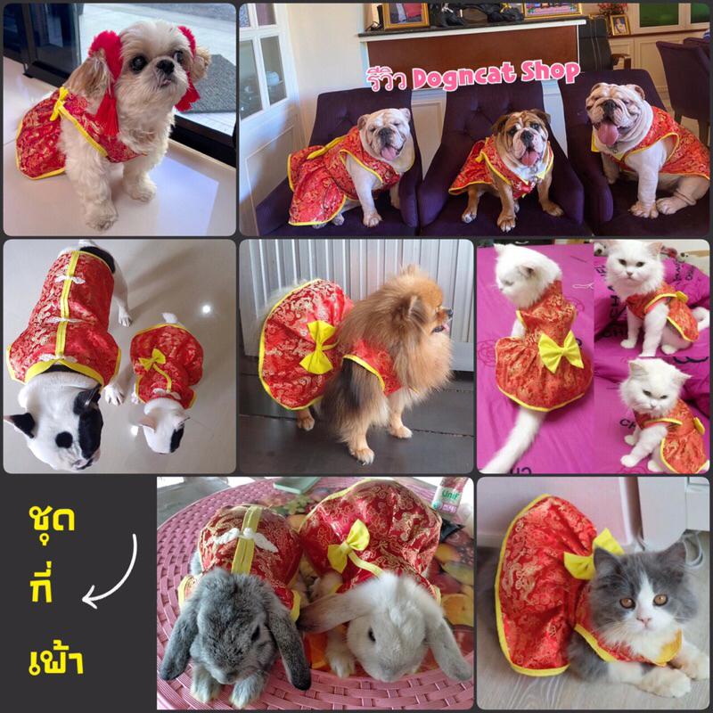 ชุดตรุษจีนหมา ชุดตรุษจีนแมว ชุดกี่เพ้าหมา ชุดกี่เพ้าแมว เสือตรุษจีนน้องหมาน้องแมว เสื้อหมา เสื้อแมว