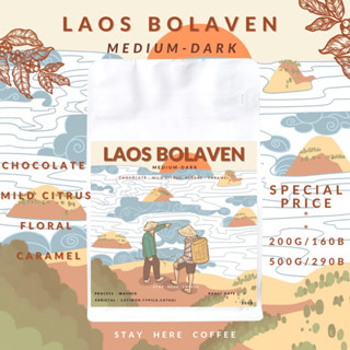 เมล็ดกาแฟคั่วกลาง-เข้ม Laos Bolaven (เกรดพรีเมี่ยม)เมล็ดไซต์A