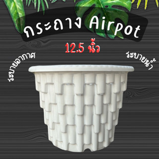 รุ่นใหม่ Airpot กระถางปลูกสายเขียว กระถางเร่งราก สีขาว ขนาด 12.5 นิ้ว