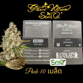 เมล็ดกัญชา Green House Seeds.Co - Lost Pearl (Fem)