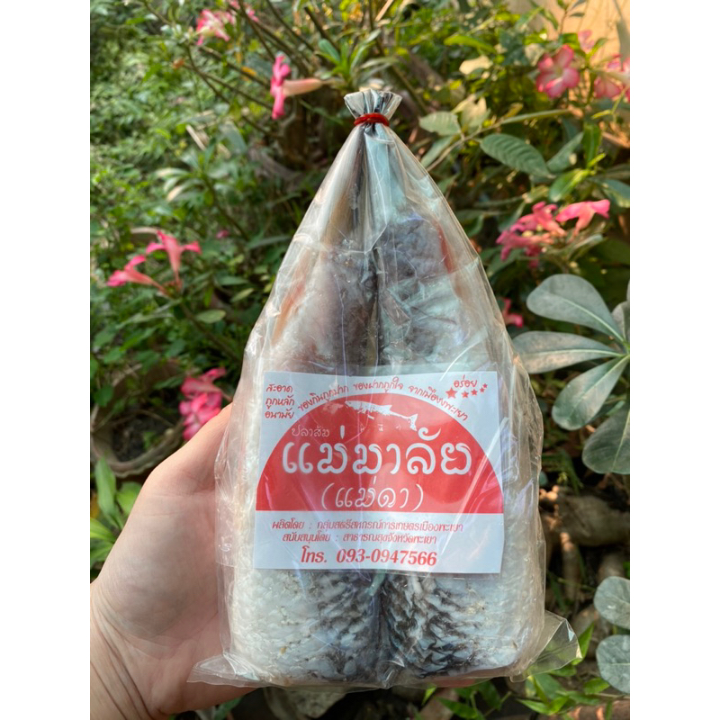 ปลาส้มแบบตัวพะเยา  2 ตัวคู่  ปลาส้มแม่มาลัย(แม่ดา) ของฝากจากเมืองพะเยา