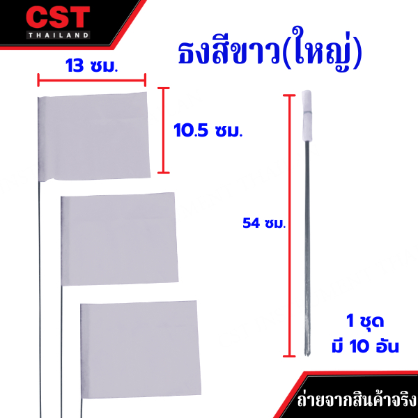 ธงสำรวจ (Marking Flags) ผืนใหญ่ แพ็ค 10 ชิ้น ราคา ถูกที่สุด ดีลบีเคเค แกลเลอรีภาพที่ 7