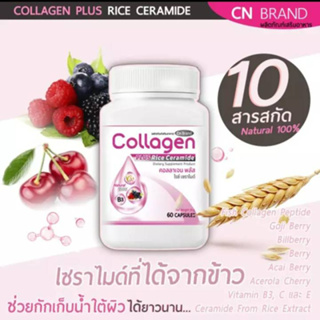 COLLAGEN PLUS  RICE CERAMIDE คอลลาเจน พลัส ไรซ์ เซราไมด์ 60 แคปซูล