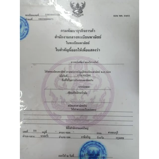 หนูมุสิกะ ยาว15นิ้ว สูง8นิ้ว ตัวใหญ่ ตัวสีทอง