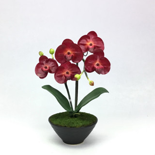 ดอกไม้ปลอมแต่งบ้าน กล้วยไม้ปลอม phalaenopsis จัดในกระถางเซรามิค