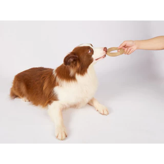 Fofos - Wooden Stix Dog Toy ของเล่นหมา ไม้ขัดฟัน แก้เครียด ทำจากไม้ ใช้กัด แทะ