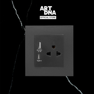 ART DNA รุ่น D3 3Pin Socket With USB Type A+C Socket design switch สวิตซ์ไฟโมเดิร์น สวิตซ์ไฟสวยๆ ปลั๊กไฟสวยๆ