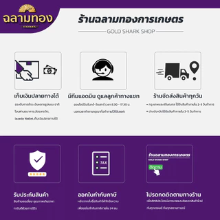ชุดสปริงก้นหอย ตัวหยุดโซ่ เลื่อยยนต์ รุ่น 5200,5800,4500 สปริงก้นหอย ตัวกันโซ่