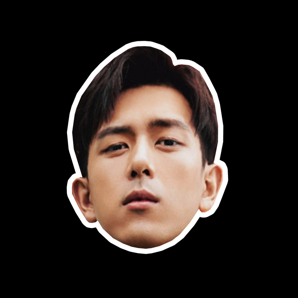 สติ๊กเกอร์กันน้ำ สติ๊กเกอร์ติดรถ แม่เหล็กติดตู้เย็น ไดคัทหน้าคน สัตว์เลี้ยง DCUT250 หลี่เซี่ยน Lixia