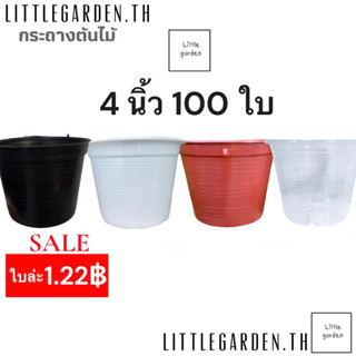 Little กระถางแคคตัสกลม 4 นิ้ว 100 ใบ