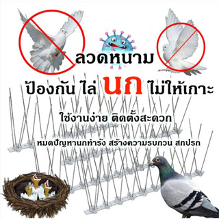 🚫  Bird Spikes  หนามไล่นก ไล่นกพิราบ ที่ดักนก กันนกพิราบ กันนกเกาะ อุปกรณ์ไล่นกทำรัง ทนทาน กำจัดนกได้ผลจริง 100%  🕊