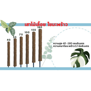 เสาไม้เลื้อย เสาใยมะพร้าว เสาหลักปักต้นไม้  ความหนา 12 มม.ท่อ ท่อPVC สีดำ 1/2นิ้ว(ท่อ4หุน)