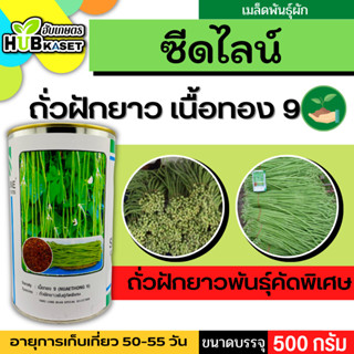 ซีดไลน์ 🇹🇭 ถั่วฝักยาวพันธุ์คัดพิเศษ (เนื้อทอง 9)  ขนาดบรรจุ 500 กรัม