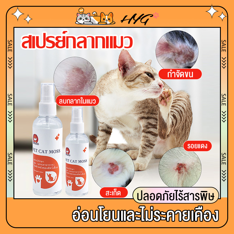 เชื้อราแมว เชื้อราแมว สเปรย์แก้โรคผิวหนังแมว โรคผิวหนังที่พบบ่อย เชื้อรา โรคไร อาการคัน กำจัดขน สะเก็ด