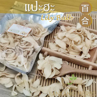 แปะฮะ ชิ้นใหญ่ เกรด AAA 50 100 250 กรัม ปลอดสาร ไม่ฟอกขาว ไม่อบกำมะถัน Lily Bulb สมุนไพรจีน 百合 หัวดอกลิลลี่